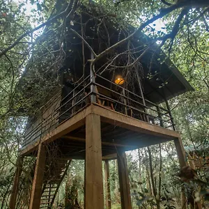 On The Tree Eco Sigiriya Hotel Kibissa